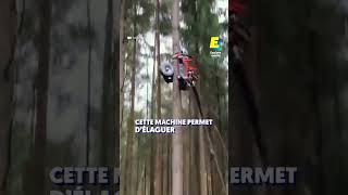 Cette machine permet d’élaguer un arbre en moins de 10 secondes  🌳 shorts [upl. by Bryanty]