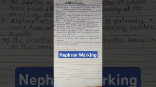 Nephron Working 10 Lines nephron nephronworking mintossmood [upl. by Eiramacissej]