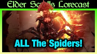 Skein Bugs Skitteris Spider Daedra and Spiderkith Explained [upl. by Travus]