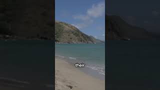 Best Caribbean Islands Saint Kitts and Nevis [upl. by Adnovaj829]