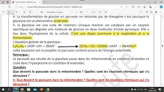 unité 1  chapitre 1 la glycolyse et le devenir de lacide pyruvique dans la mitochondrie [upl. by Westfall]