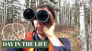 DAY IN THE LIFE of a wildlife biologist amp answering YOUR questions [upl. by Merete]