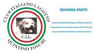 IL LAGOTTO ROMAGNOLO AGGIORNAMENTO SU ASPETTI MORFOLOGICI E DI LAVORO 2° PARTE [upl. by Kate]