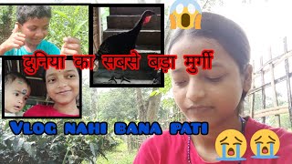 में कभी youtuber नही बन सकती👈❌। इतनी बड़ी मुर्गी🤯।Tea garden 🌱 villagelife newyoutubernehashree [upl. by Kristofer]