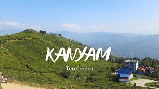 KANYAM ll Ilam ll Tea garden [upl. by Acyssej259]