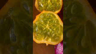 Kiwano fruit Cucumis metuliferus [upl. by Aronael]