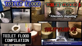 MEGA TOILET FLOOD COMPILATION  SUPER OVERFLOW [upl. by Shaver667]