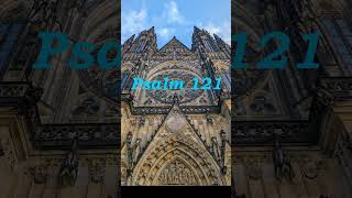 Psalm 121 Prachtige Orgelmuziek orgel shorts psalm 121 [upl. by Welcher396]