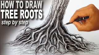 How to draw tree roots  using pencils [upl. by Rutter]