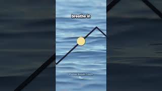 55 Second Breathing Timer breathingmeditation meditationmusic breathing [upl. by Refannej]