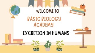 Board Exam Special Series Excretion In Humans [upl. by Anaerdna]