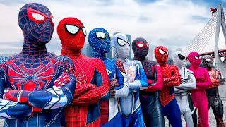 What If Many SPIDER MAN in 1 HOUSE  SPIDER MANs Story New Season 4  All Action Funny [upl. by Ahsilem432]