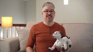 aibo  aibo Robotic Puppy 40 Update [upl. by Eveneg848]