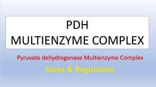 PYRUVATE DEHYDROGENASE PDH MULTIENZYME COMPLEX [upl. by Nylorak364]