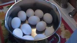 How to Make Perfect Hard Boiled Eggs Noreens Kitchen [upl. by Kciremed]