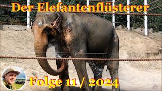 Der Elefantenflüsterer Folge 11  2024 [upl. by Eseerahs71]