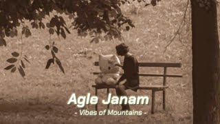 Agle Janam Slowed amp Reverb Vibes of Mountains  Bollywood SampR [upl. by Drud]