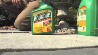 How to Dispose of Roundup Weed Killer  Videos  Roundup Weedkiller [upl. by Nidnal]