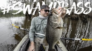 Slaying Striped bass on rattle traps  plus big largemouth [upl. by Tommie194]