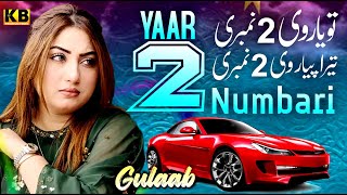 YAAR 2 NUMBARI  GULAAB  OFFICIAL VIDEO 2023 NEW SONG  KB PRODUCTION [upl. by Lucilia]