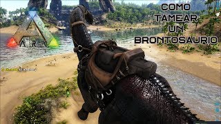 Como tamear un Brontosaurio de manera fácil y rápida En Ark Survival Evolved [upl. by Auric]