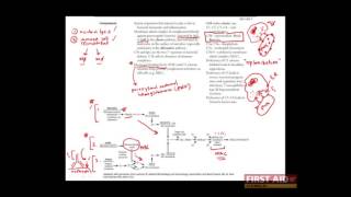 First Aid for the USMLE Step 1 IMMUNOLOGY  09  The complement cascade [upl. by Lacee]