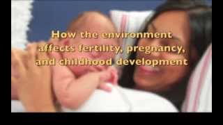 How the environment affects fertility pregnancy and childhood development [upl. by Terrel]