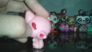 Minha mini coleção de lps [upl. by Nonie]