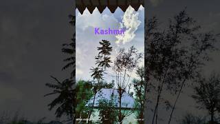 Kashmir [upl. by Ortensia]