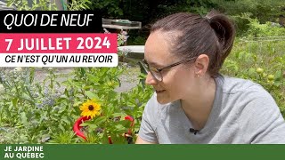 Tour du potager  Je récolte et je vous DIS AU REVOIR [upl. by Paradies779]