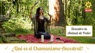 🍀 Como el Chamanismo Ancestral puede cambiar tu vida 🍀 [upl. by Niltac206]