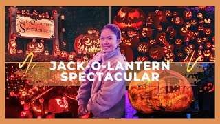 JACKOLANTERN 🎃 SPECTACULAR At The Roger Williams Zoo  Tips For Your Nex Visit  Marchmalloworld [upl. by Imac234]