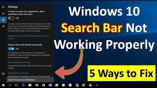 How to Fix Search Bar Not Working in Windows 1110 [upl. by Hanaj]