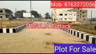 ❤Plot For Sale in Trisulia Cuttack [upl. by Rita205]