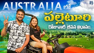 Daily Iife In Village  Melbourne Australia 🇦🇺  Uma Telugu Traveller [upl. by Loria204]