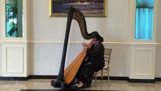 Offenbach Barcarolle on Harp [upl. by Nivar]