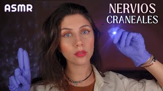 ASMR • Examino tus NERVIOS CRANEALES Roleplay Examen Médico Completo [upl. by Asilanna]