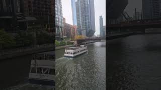 Chicago River ouilimettetourboat skyscraper [upl. by Philemon923]