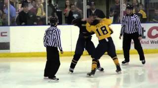 Springfield Jr Blues Highlights vs The Janesville Jets Nahl hockey all fights and goals [upl. by Anitsihc]