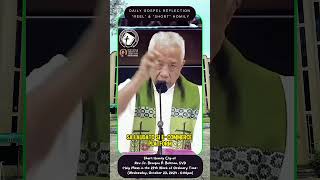 SHORT CLIP – HOMILY – REFLECTION OF REV FR BENIGNO P BELTRAN SVD [upl. by Bello]