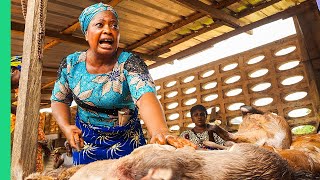 Extreme Bushmeat Nigerias WILD Animal Markets [upl. by Phira357]