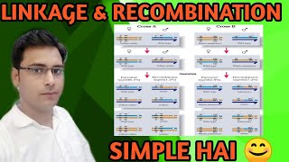 Genetics  Linkage and recombination  Simplified  from Ncert [upl. by Ailesor]