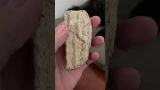 gneiss limestone nice thumbsup cat crystals magic amazingcat quartz love transformation [upl. by Starks142]