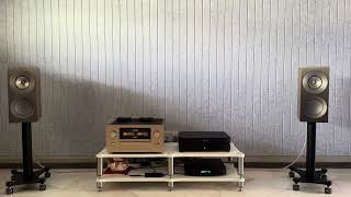 Accuphase E800 MSB Discrete DAC Lumin U2  KEF Reference 1 Meta [upl. by Bilac]