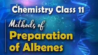 Methods of Preparation of Alkenes  Alkenes  Chemistry Class 11 [upl. by Karee]