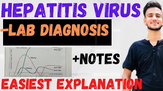 Lab Diagnosis of Hepatitis B virus  Hepatitis B virus microbiology [upl. by Suqram]