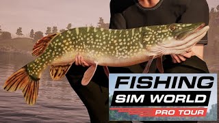 Fishing Sim World PRO TOUR  Catching a large PIKE [upl. by Arda]