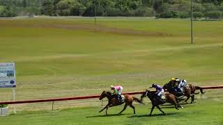 Cooktown 20241109 Race 4 [upl. by Yerroc]