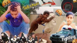 Sub Chori ho gaya  Pets Or Kabuter 😱  fight ho gayi  kis Nay karay Chori 😡 [upl. by Teddman432]