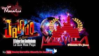 Grupo Jalado 2016 Mix Con Dj Maravilla [upl. by Learsiy]